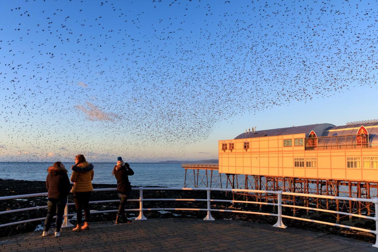 New Central Seafront Apartment- Stunning Sea Views Aberystwyth Exterior photo